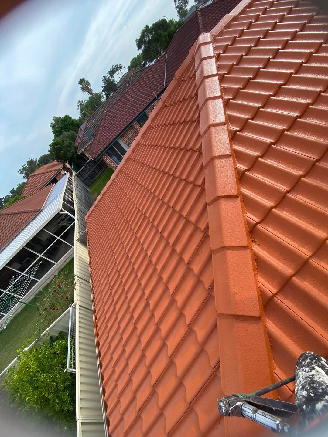 FB_IMG_1748072359961