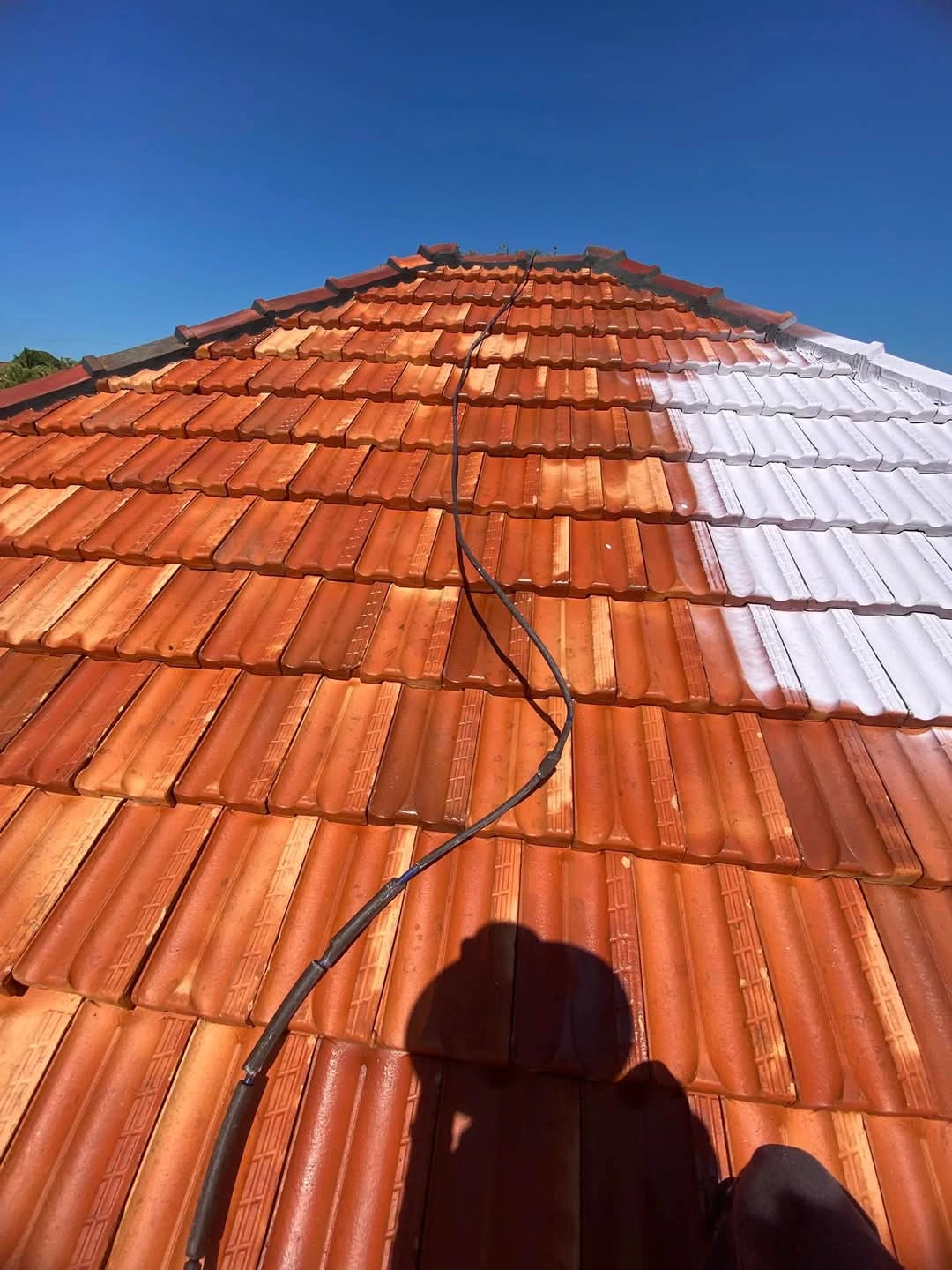 FB_IMG_1748072399233